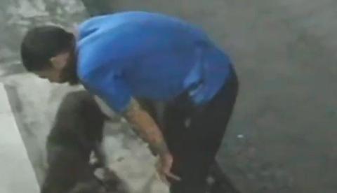 Vídeo mostra pitbull atacando gato até a morte na frente do tutor na Cidade Nova