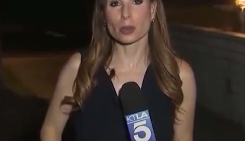 Barata voadora ataca repórter ao vivo; veja