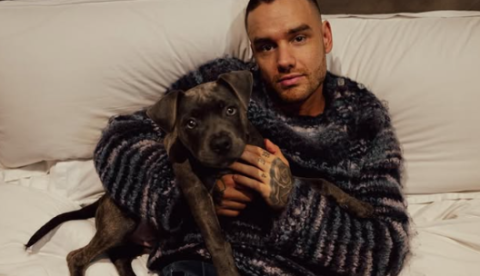 Amigo de Liam Payne acusado de abandonar cantor tem acusações arquivadas