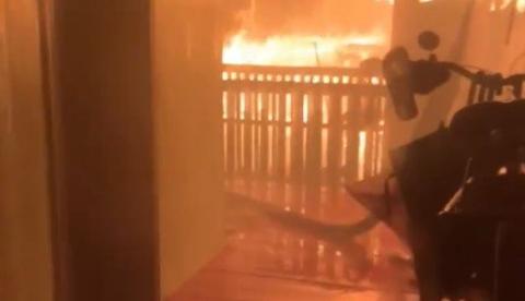 Incêndio que matou idosa cadeirante no Careiro da Várzea também deixou três cães mortos