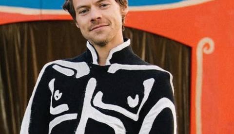 Harry Styles é visto caminhando em SP após cancelamento de show