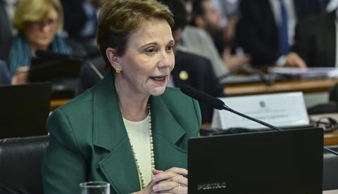 Flávio Bolsonaro diz que Tereza Cristina aceitou convite para ser sua vice