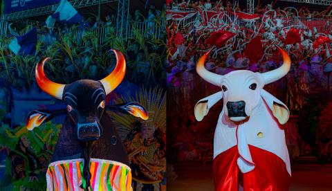 Barreirinha adia Festival dos Touros para outubro após acordo entre bumbás