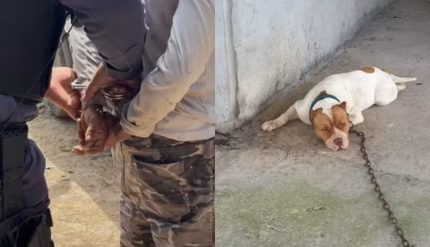 Homem é preso suspeito de maus-tratos contra cachorro em Presidente Figueiredo