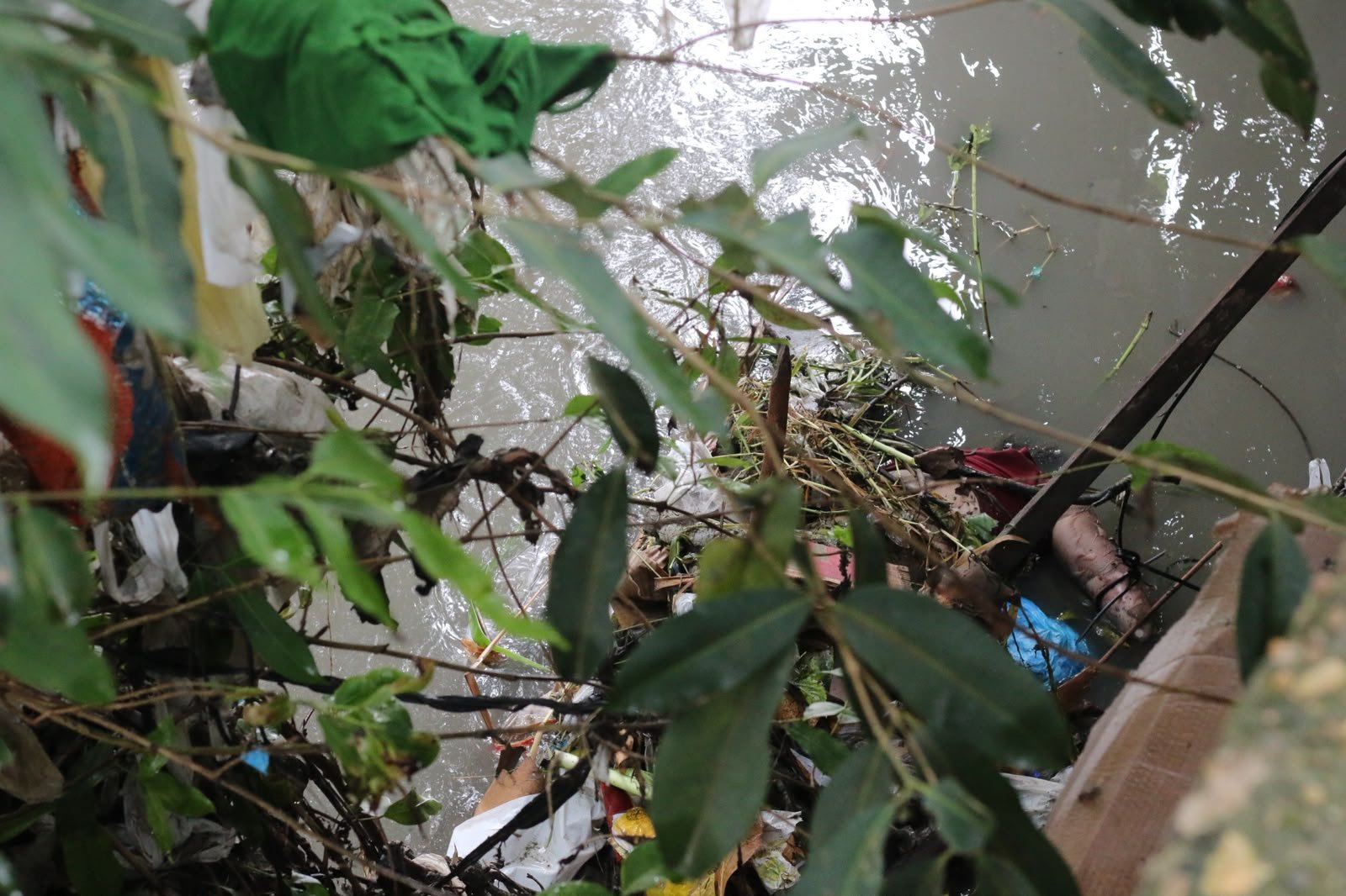 Perícia revela causa da morte de mulher achada em igarapé de Manaus, mas detalhe intriga