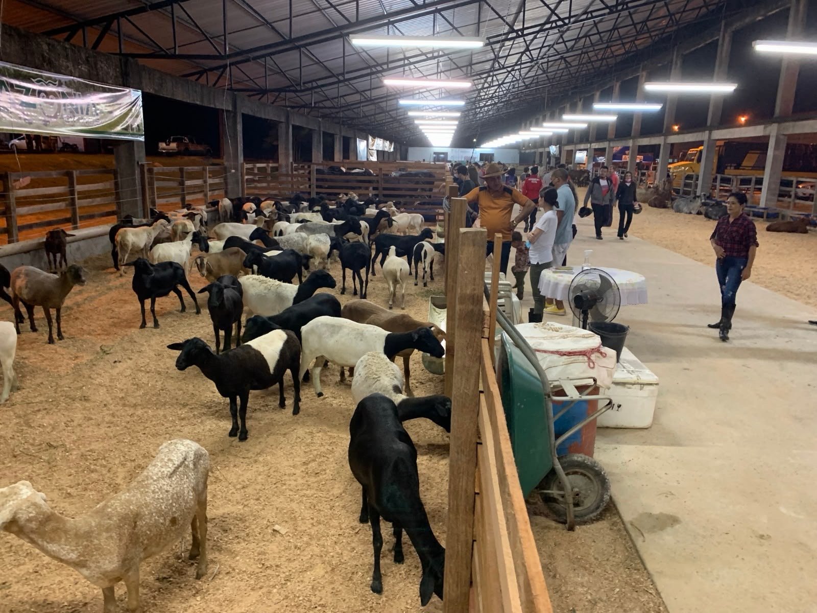 Feira da Nilton Lins completa 10 anos como vitrine do agronegócio no Amazonas