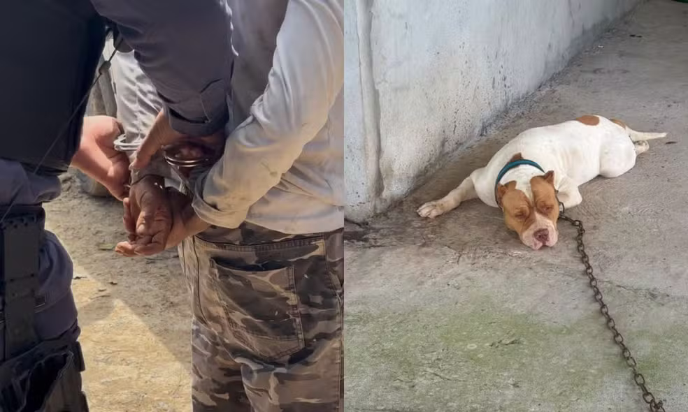 Homem é preso suspeito de maus-tratos contra cachorro em Presidente Figueiredo
