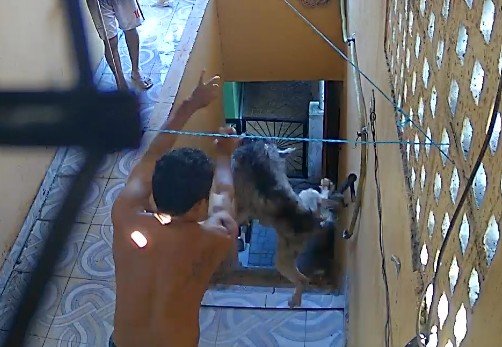 Homem é preso ao ser filmado arremessando cachorro de escada em Manaus
