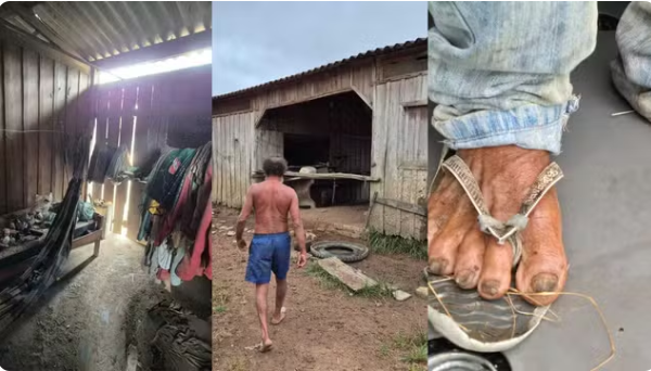 Isolado na Amazônia: Idoso é resgatado de trabalho escravo após 8 anos na floresta
