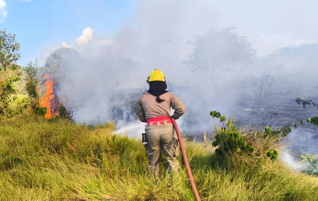 Queimadas caem até 93% no Amazonas, segundo levantamento do INPE