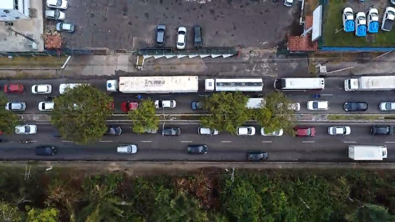 Ventania derruba árvore e complica trânsito na Av. Rodrigo Otávio