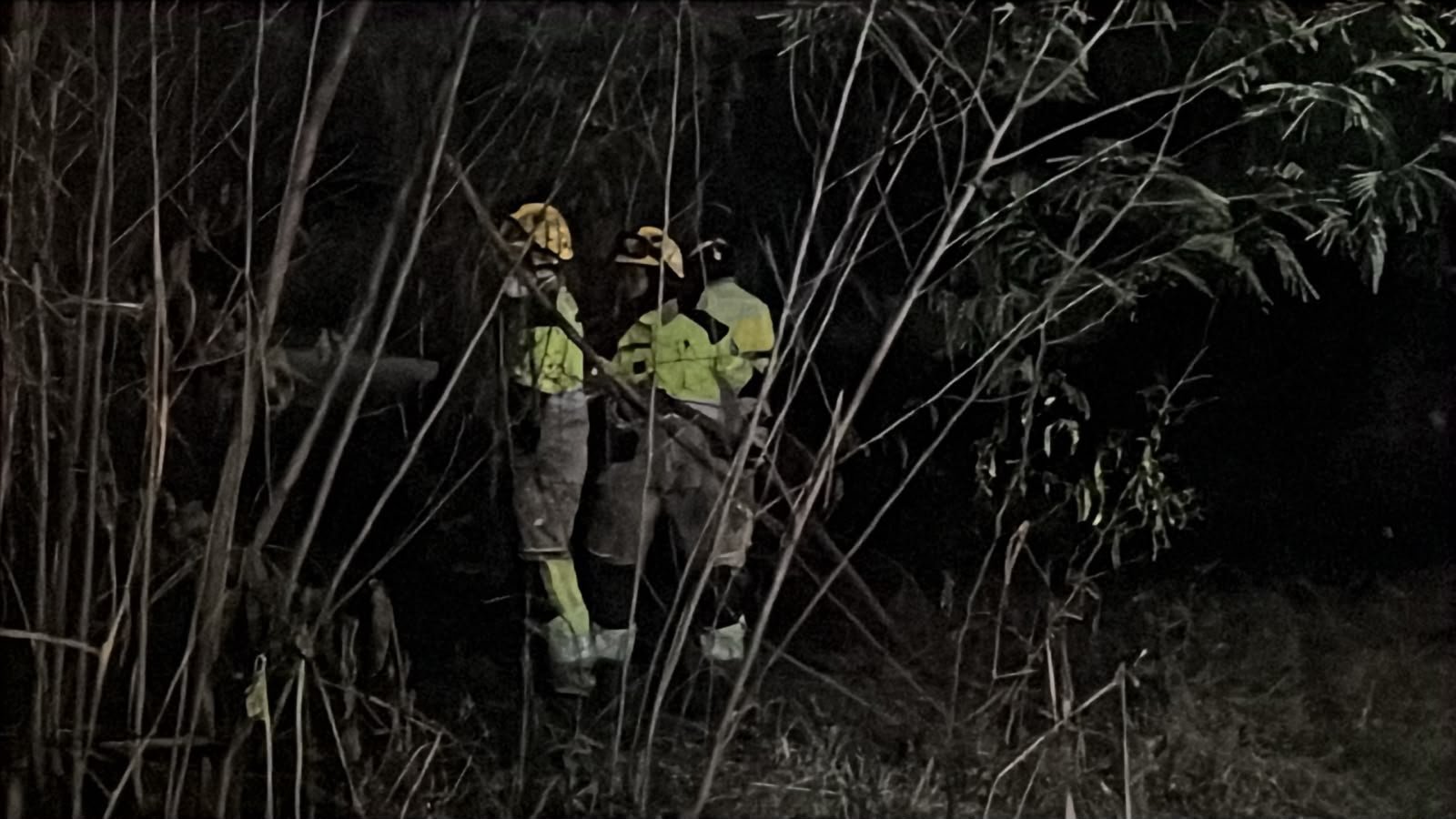 Fogo em área de mato ao lado de subestação mobiliza bombeiros na Colônia Japonesa