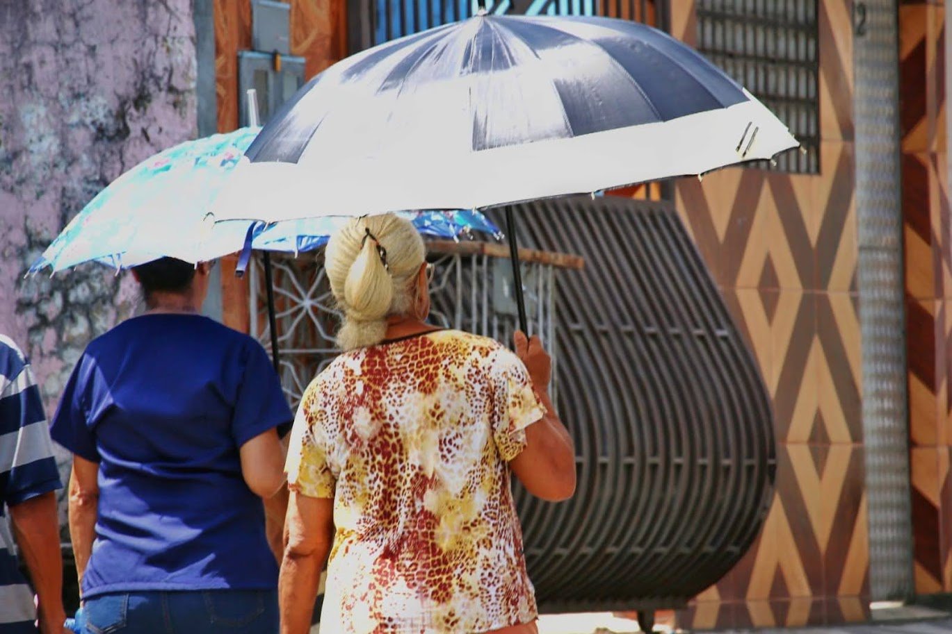 Manaus tem apenas 1% da chuva esperada em agosto e enfrenta sequência de calor