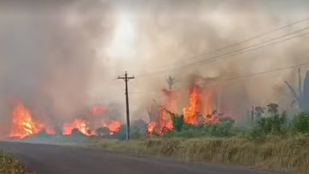 Fogo destrói vegetação, mata animais e causa desespero entre moradores no Amazonas