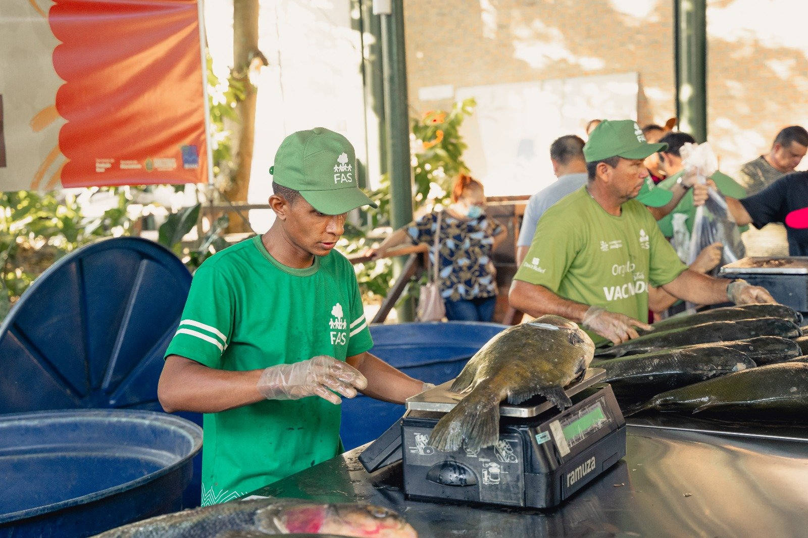 Feira na sede da FAS vende tambaqui manejado a partir de R$ 11 o quilo