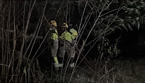 Fogo em área de mata ao lado de subestação mobiliza bombeiros na Colônia Japonesa