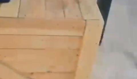 Vídeo: Polícia descobre depósito de drogas com 700 kg de skunk em galpão na Galileia