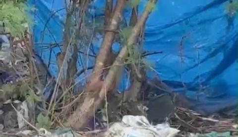 Homem em situação de rua é encontrado morto com mãos amarradas e genitais cortadas em Manaus