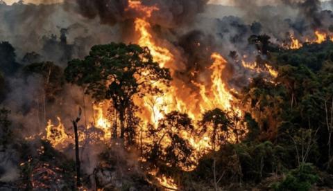 Com a chegada do verão amazônico, Manaus lança ofensiva contra queimadas nesta quinta