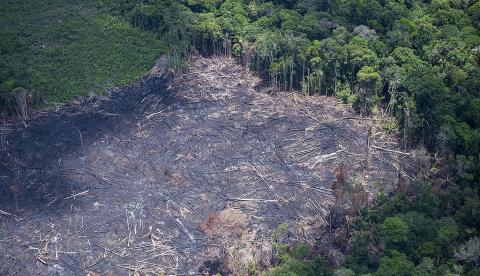 Maranhão lidera alta de desmatamento no Cerrado, mostra Inpe