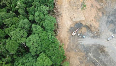 Roraima é o único estado da Amazônia com alta no desmatamento, aponta Inpe