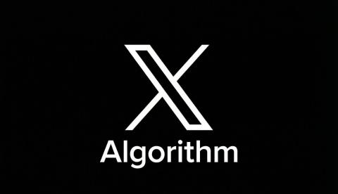X divulga código de filtro que tira posts de candidatos brasileiros da aba Para Você