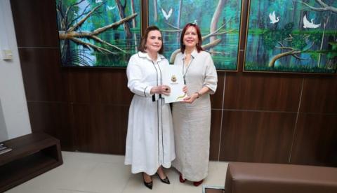 TCE-AM entrega ao TRE-AM lista com mais de 400 registros de gestores com contas irregulares