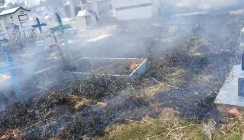 Princípio de incêndio atinge vegetação do Cemitério do Tarumã