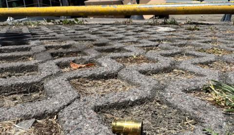 Assassinato de homem em plena luz do dia no Parque Dez pode ter ligação com tráfico de drogas