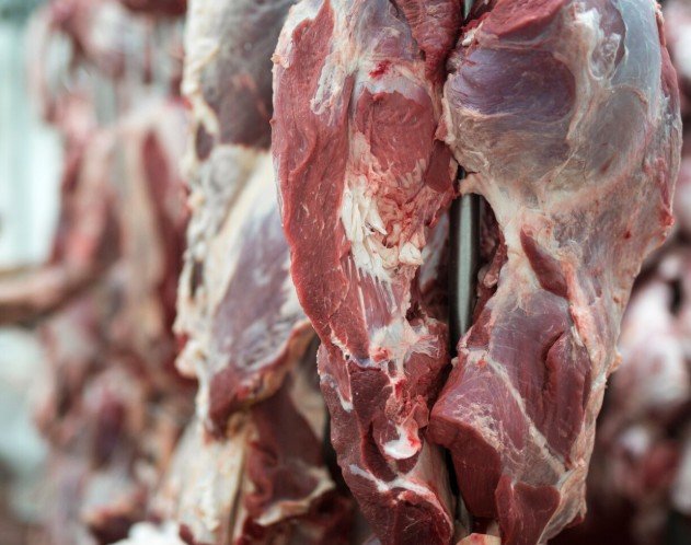 Exportações em risco: União Europeia decide barrar carne bovina e mel do Brasil