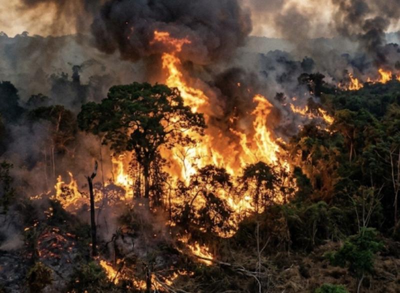 Com a chegada do verão amazônico, Manaus lança ofensiva contra queimadas nesta quinta