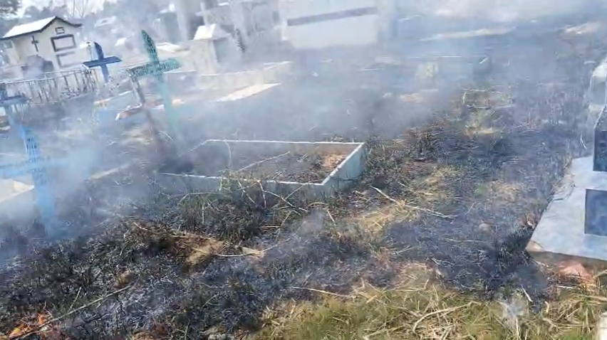 Princípio de incêndio atinge vegetação do Cemitério do Tarumã