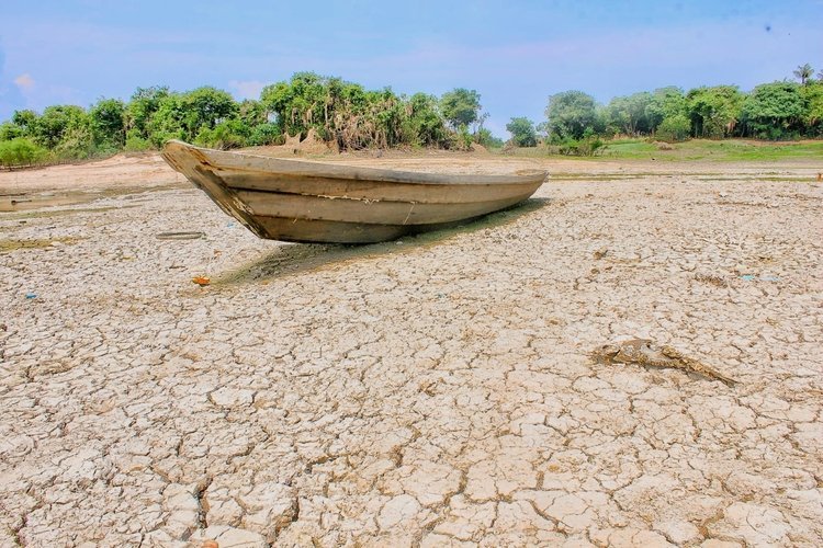 Clima em alerta: ONU prevê super El Niño e disparo de temperaturas globais até outubro