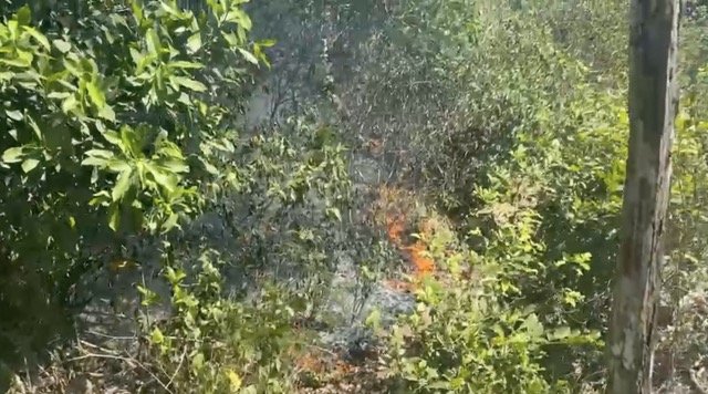 Vídeo: Incêndio em terreno na Colônia Japonesa ao lado de subestação de energia