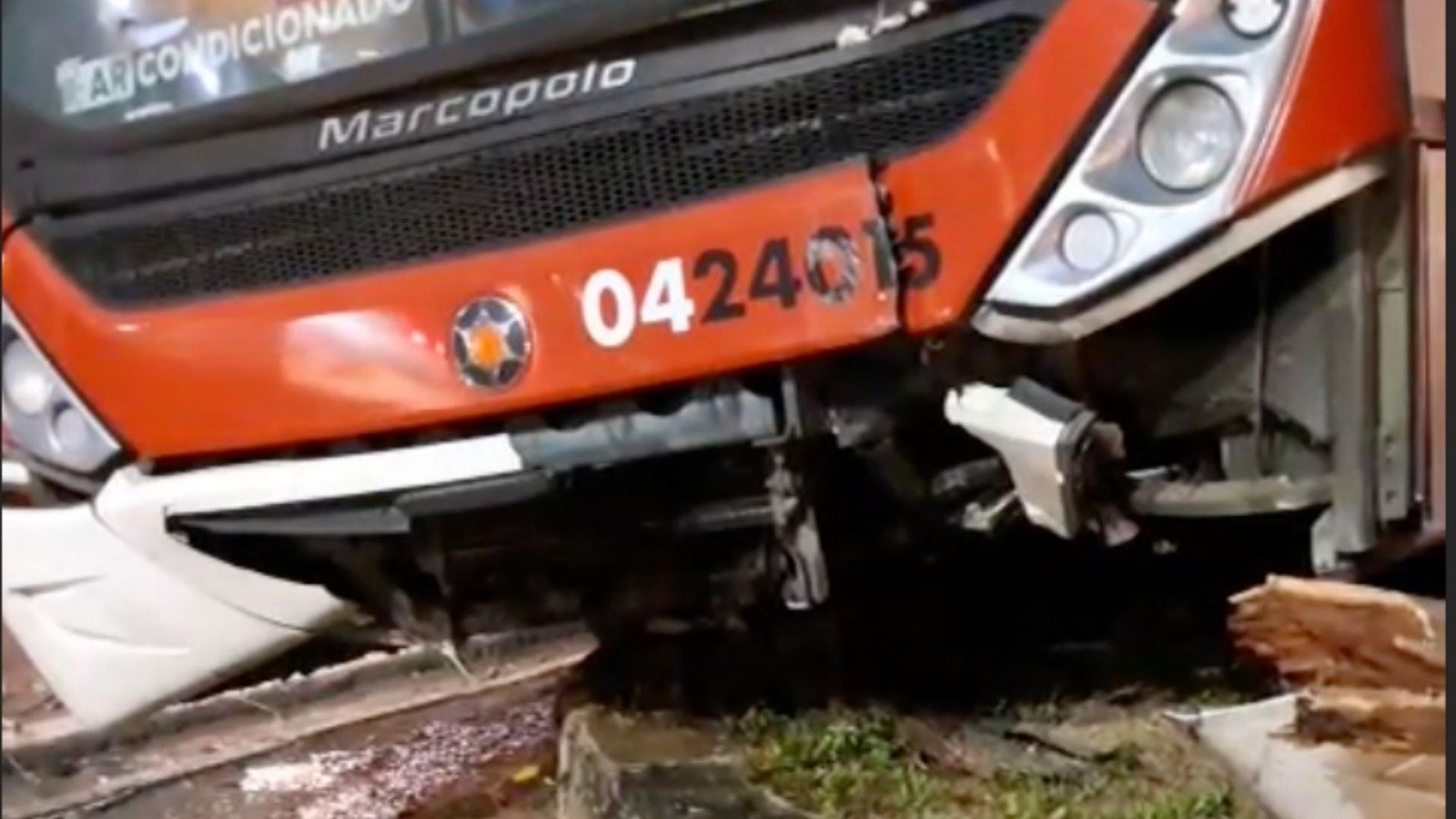 Ônibus perde o controle e colide contra árvore em Manaus; vídeo
