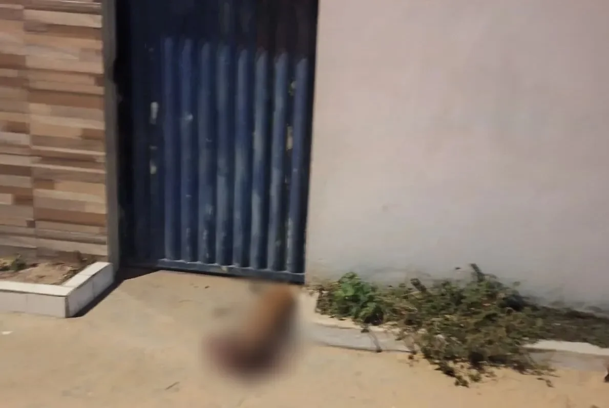 Alvo escapou, mas sogro e passante foram baleados em ataque; cachorro morreu