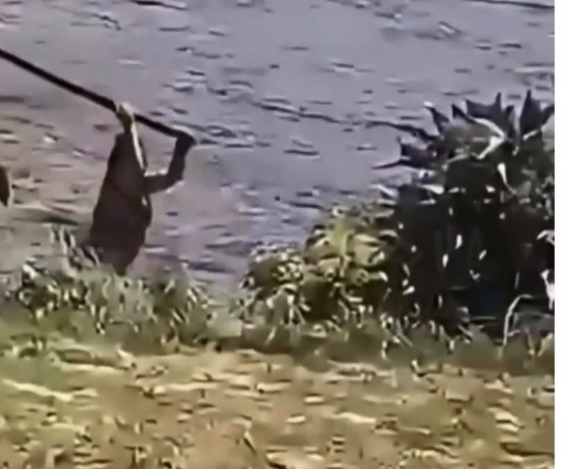 Mulher se defende e atinge companheiro com pedaço de pau no Amazonas; vídeo