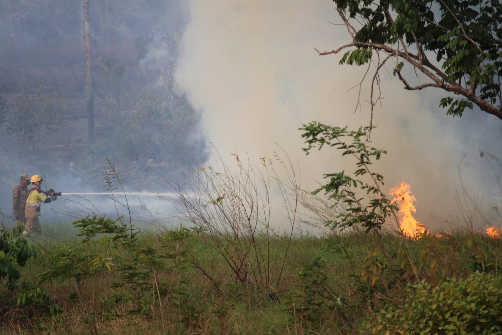Fogo destrói quilômetros de fios, deixa região sem internet e desafia bombeiros no Amazonas