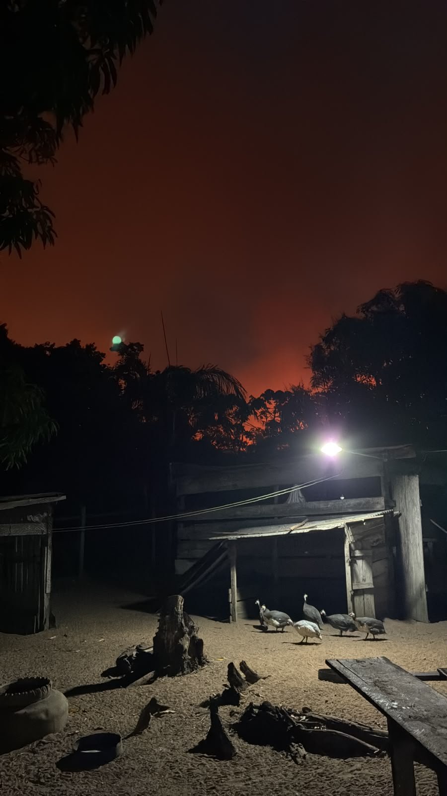 Mega incêndio florestal ameaça casas e desespera moradores em Manacapuru; veja vídeo