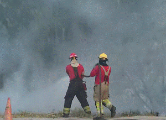 Incêndio atinge área de mata na Rotatória do Coroado em Manaus