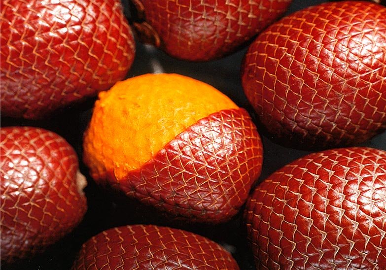 A fruta amazônica que tratou cegueira noturna infantil em 20 dias