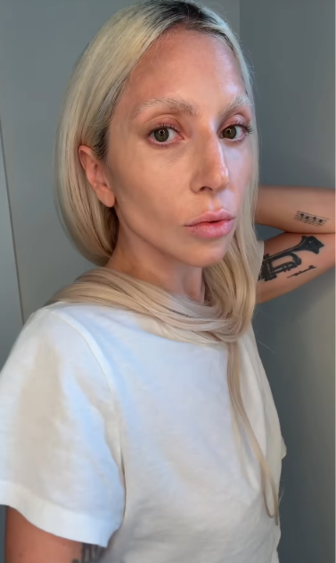 Lady Gaga teve filha por barriga de aluguel, diz site