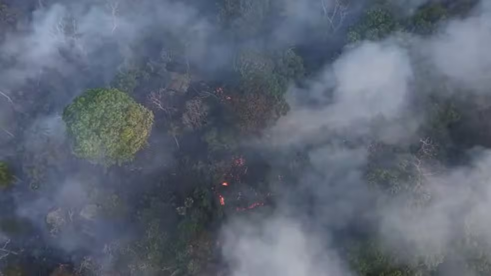 Fogo avança por trecho da BR-319 entre Careiro e Careiro da Várzea pelo terceiro dia