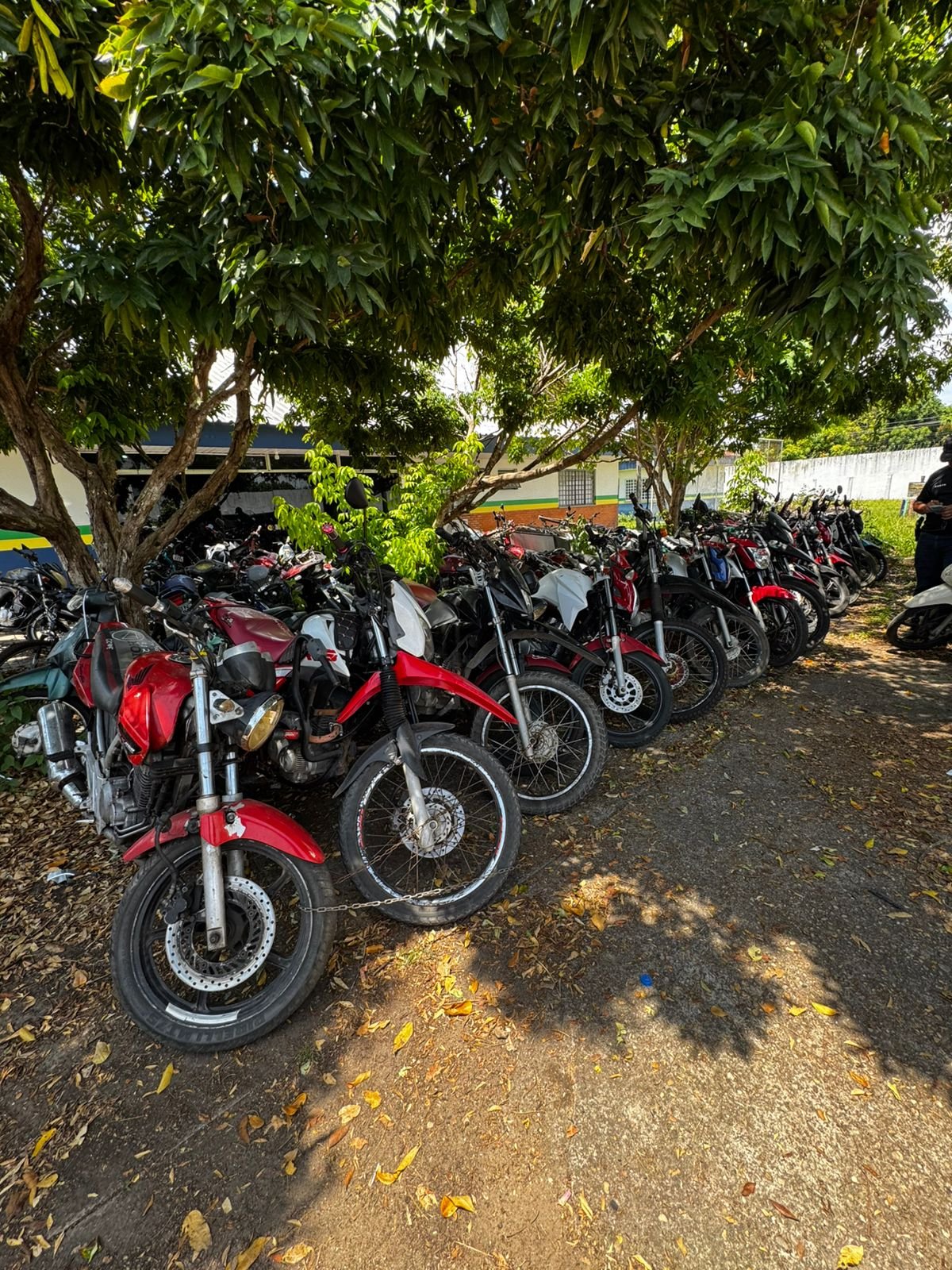 Polícia apreende 47 motos furtadas e prende suspeito no Amazonas