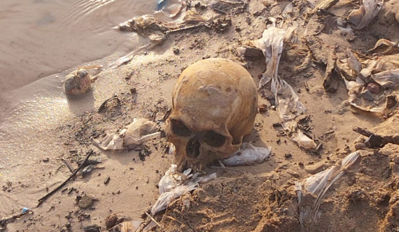 Crânio humano é encontrado durante obra na área da Manaus Moderna