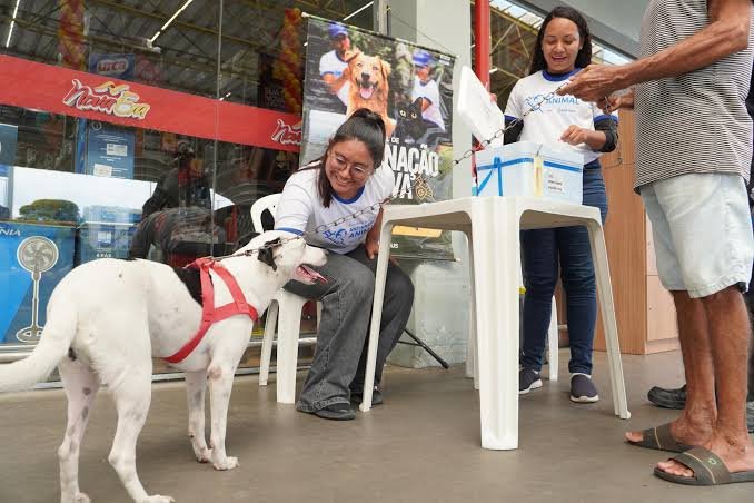 Manaus inicia campanha de vacinação antirrábica para cães e gatos nesta quinta-feira