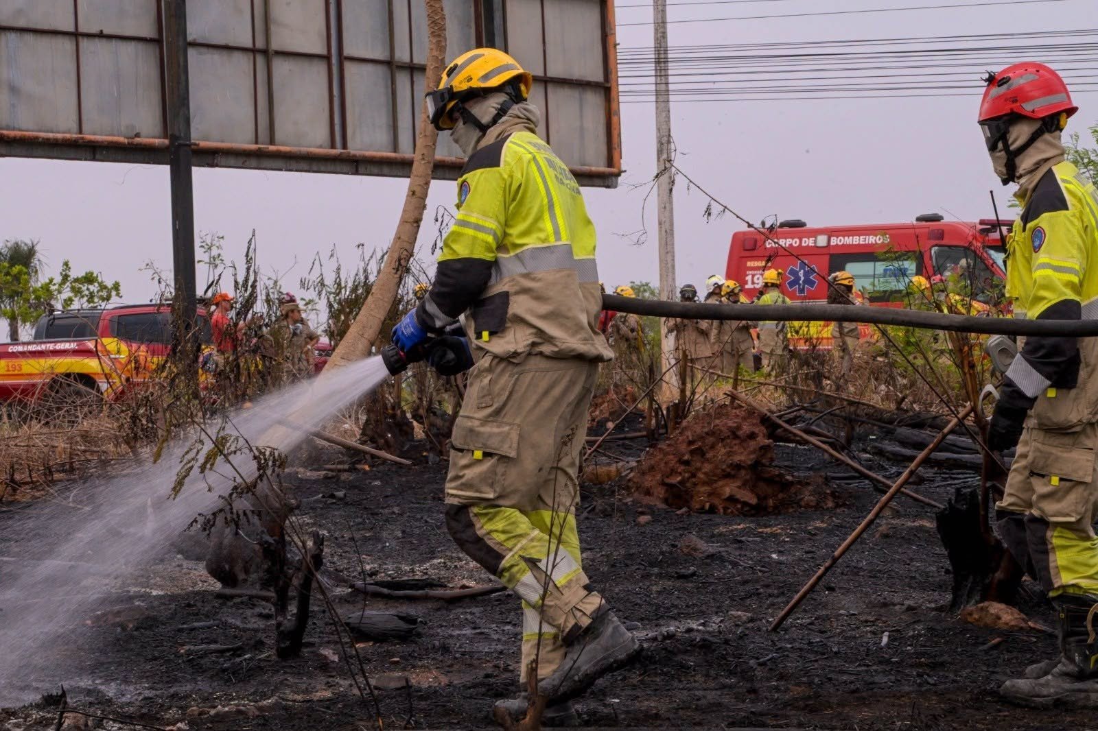 Com 5,7 mil focos de calor, DPE-AM pede nova apuração sobre queimadas no Amazonas