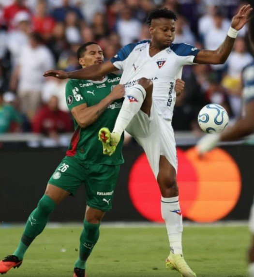 Fluminense x Palmeiras abre semifinais da Libertadores; veja calendário