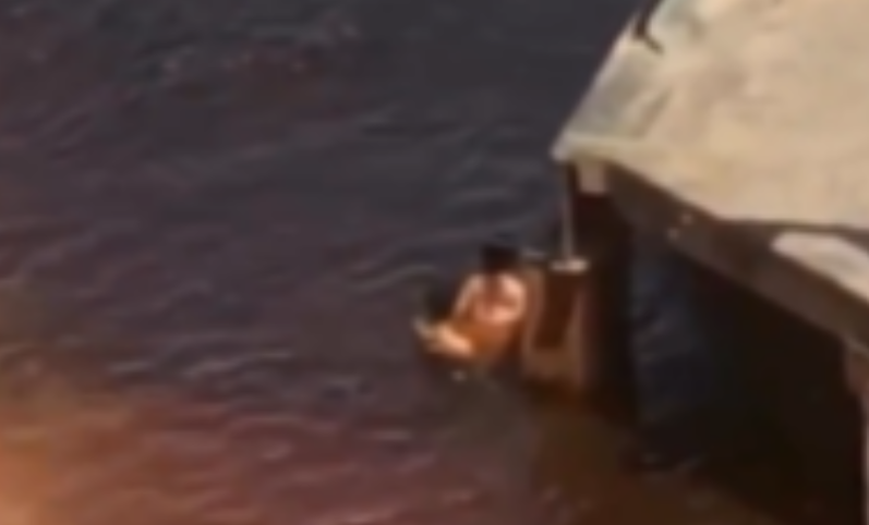 Casal é flagrado em ato íntimo nas águas do Rio Negro e vídeo viraliza em Manaus