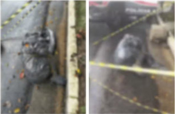 Corpo ensacado e amarrado é encontrado por garis